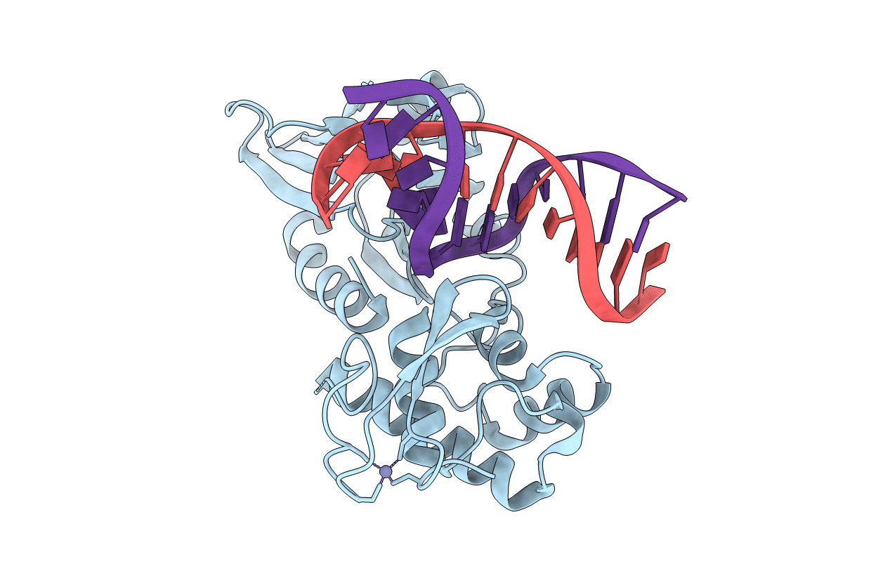 3GPP image