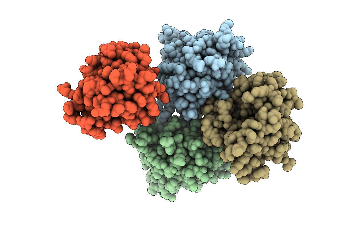 3GPQ image