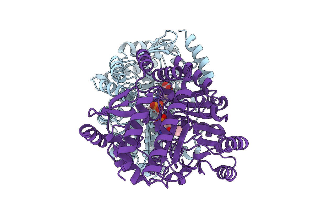 3GSB image