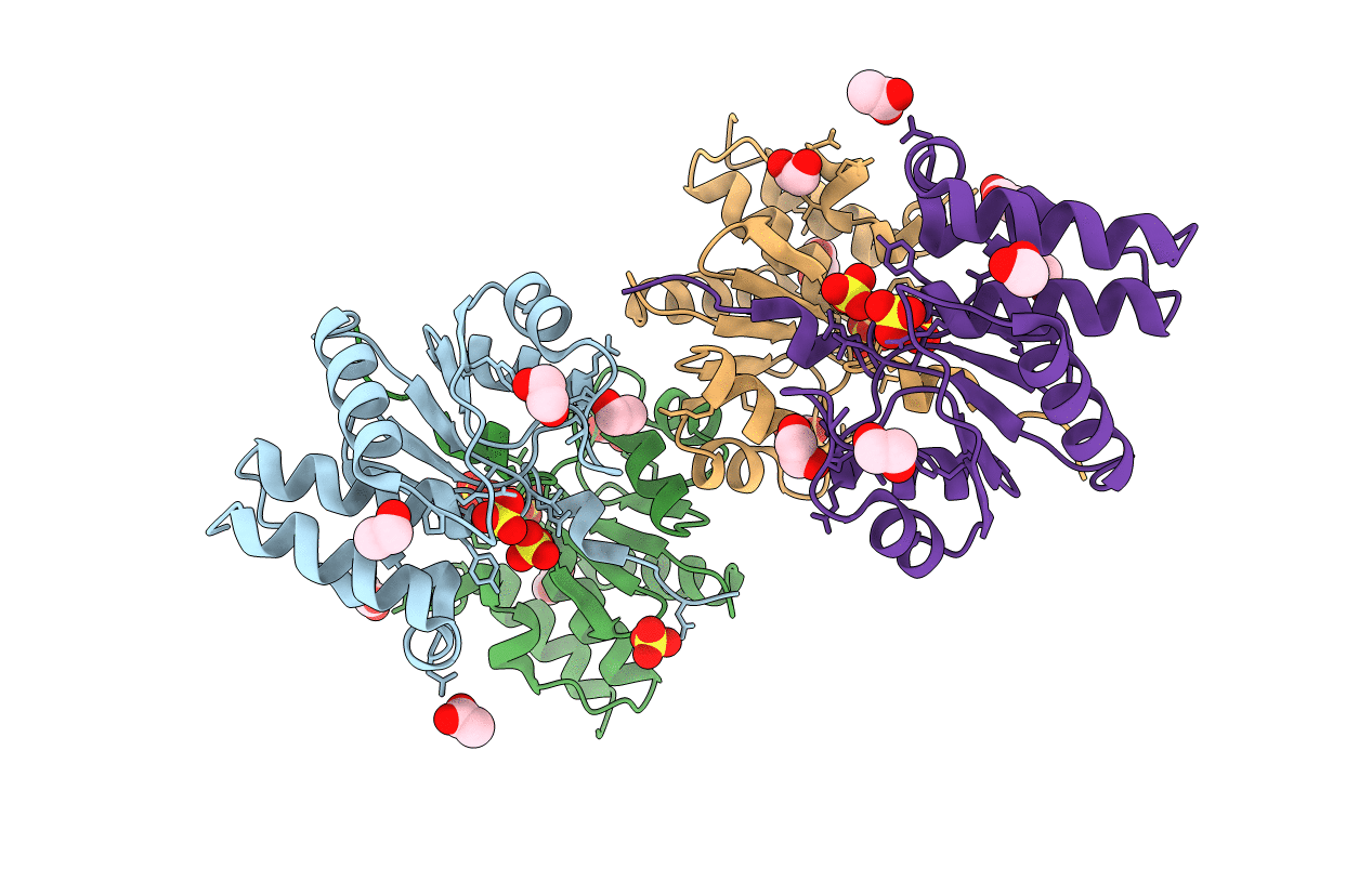 3GXG image