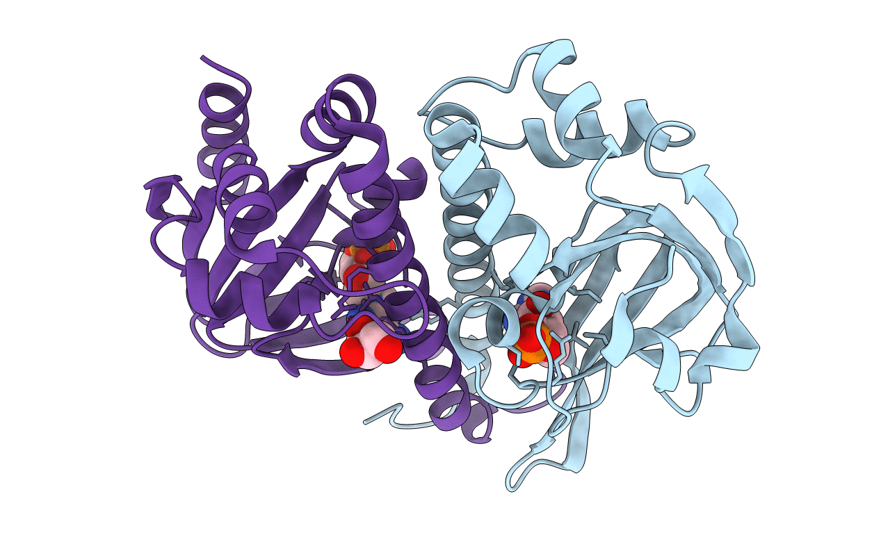 3GYD image