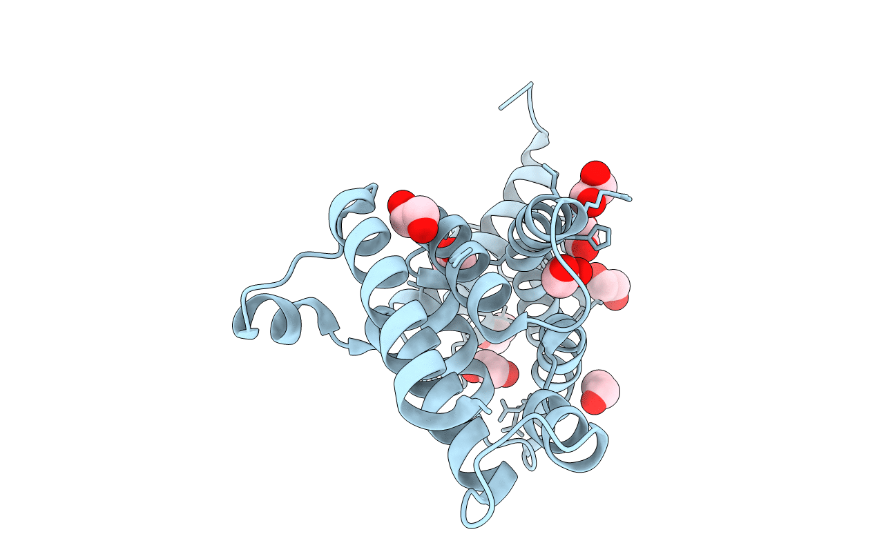 3GZI image