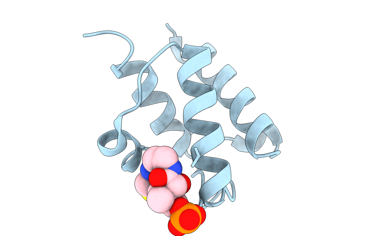 3GZL image