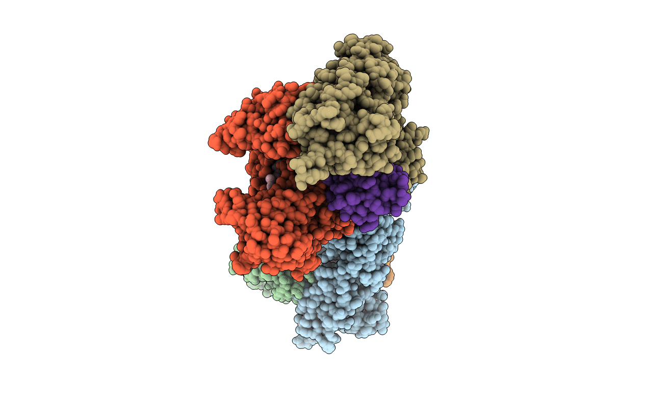 3GZN image
