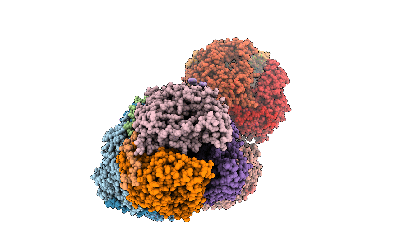 3H1C image