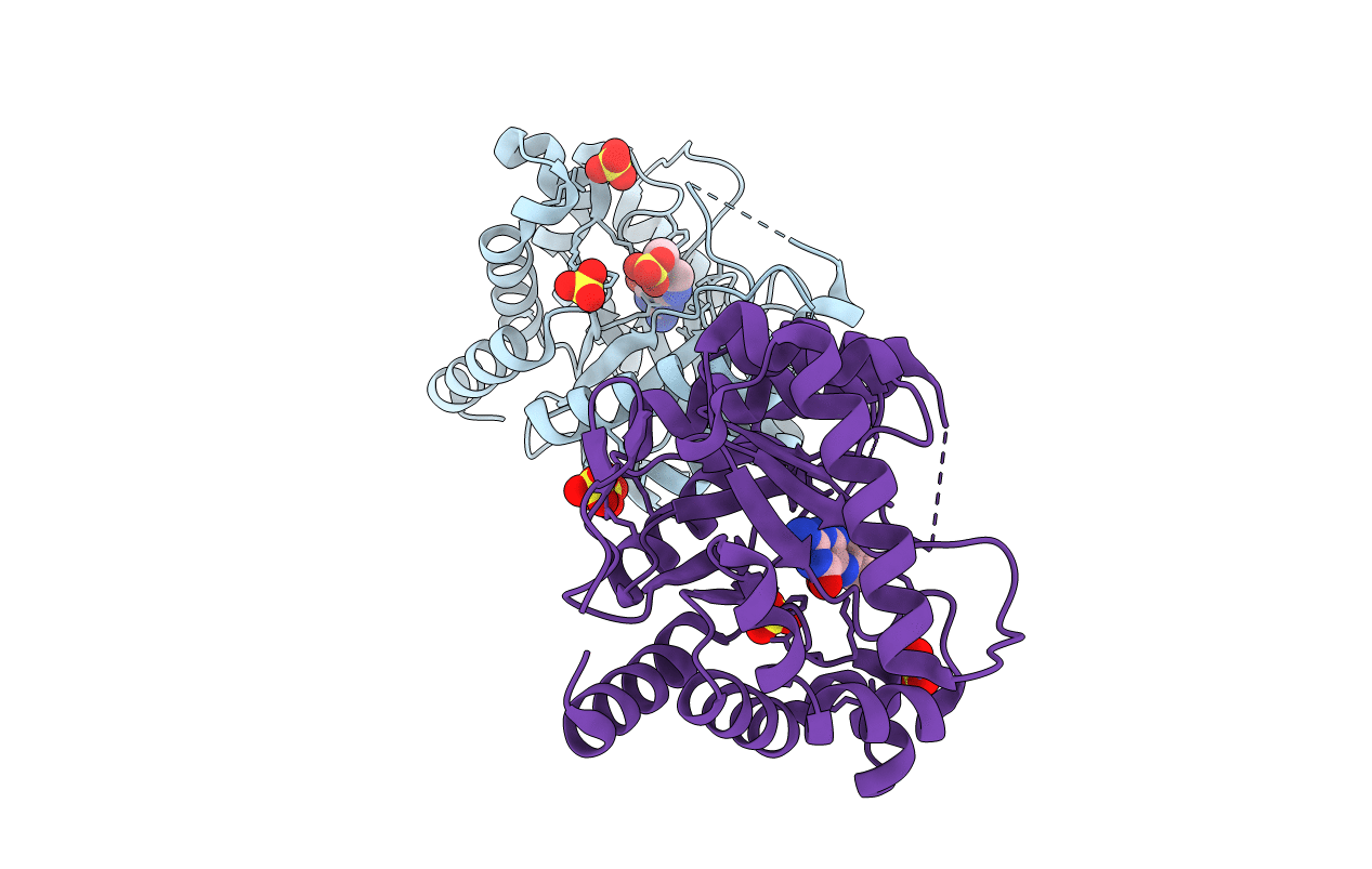 3H2N image