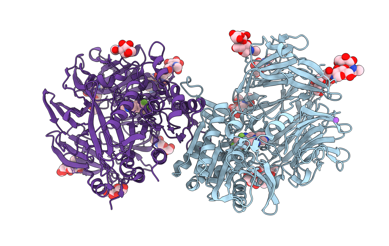 3HAC image