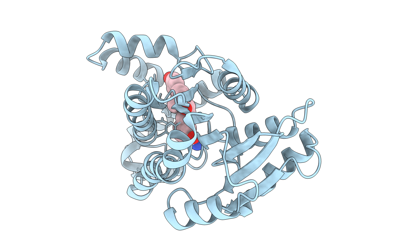 3HB4 image