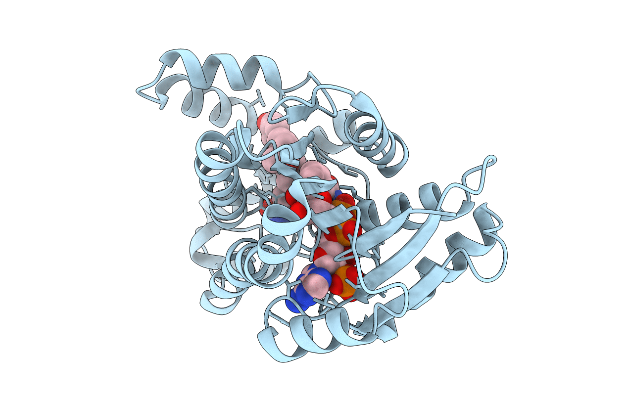 3HB5 image