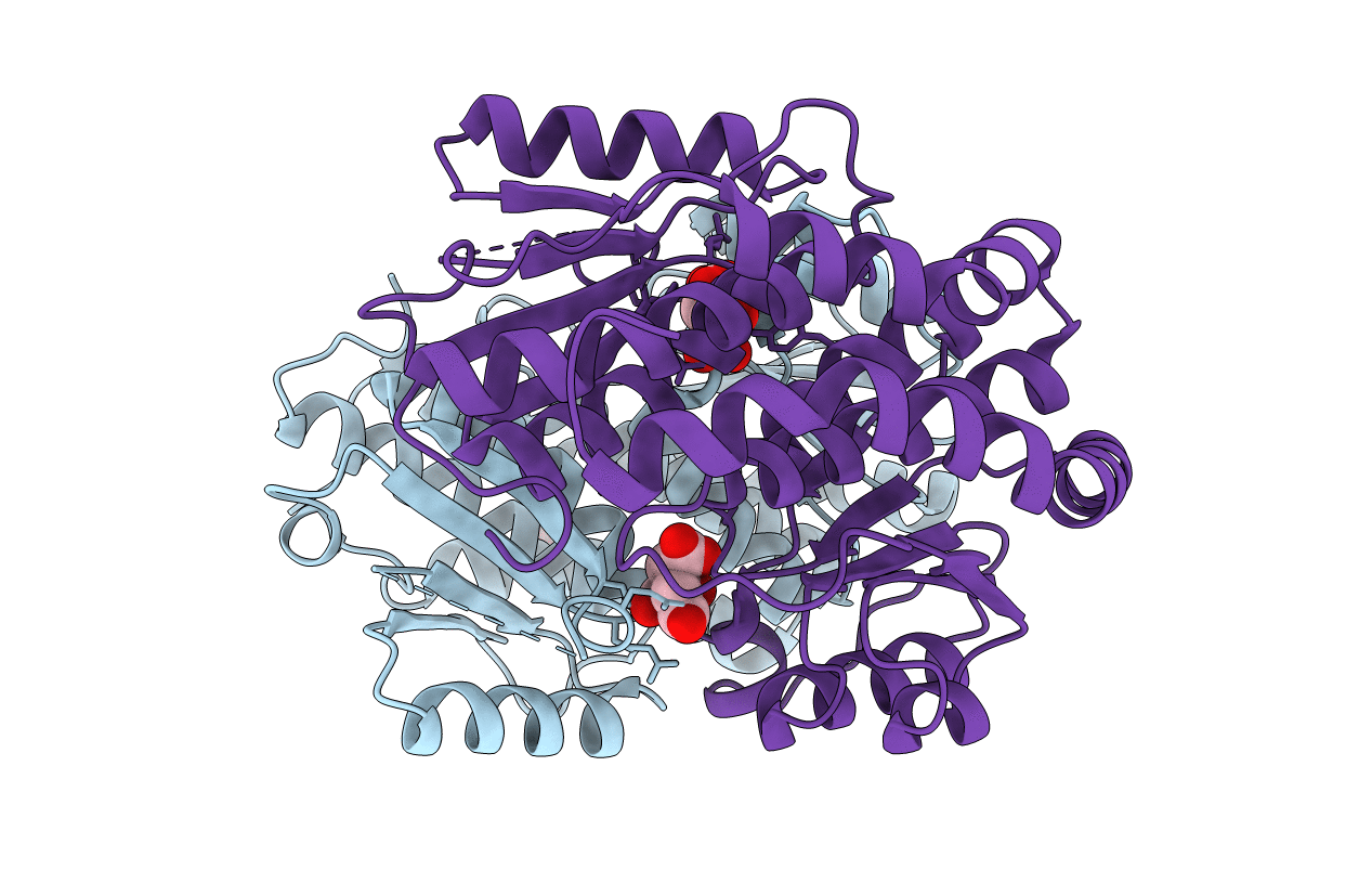 3HBA image