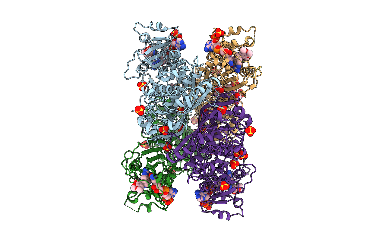 3HBB image