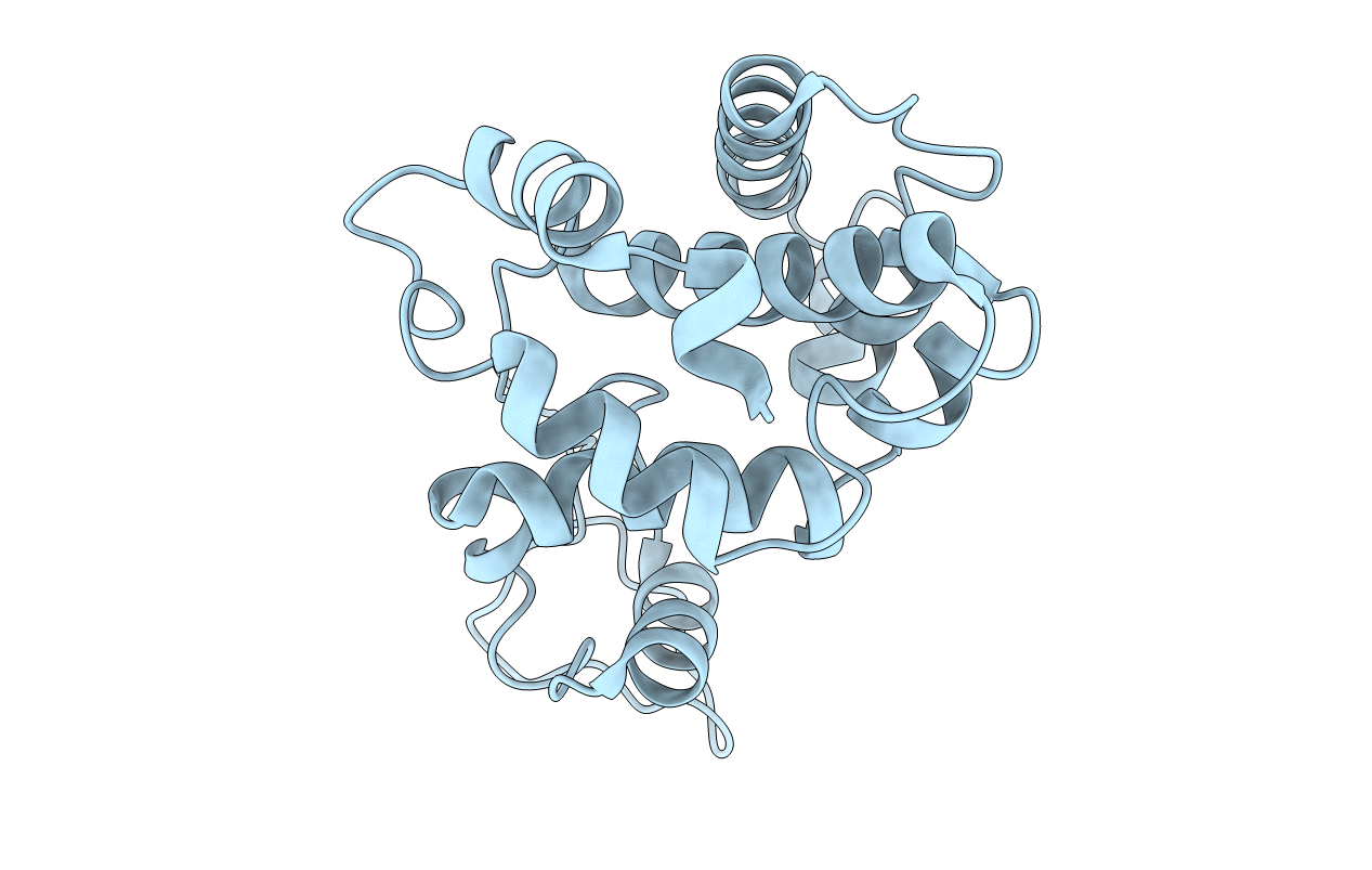 3HBH image
