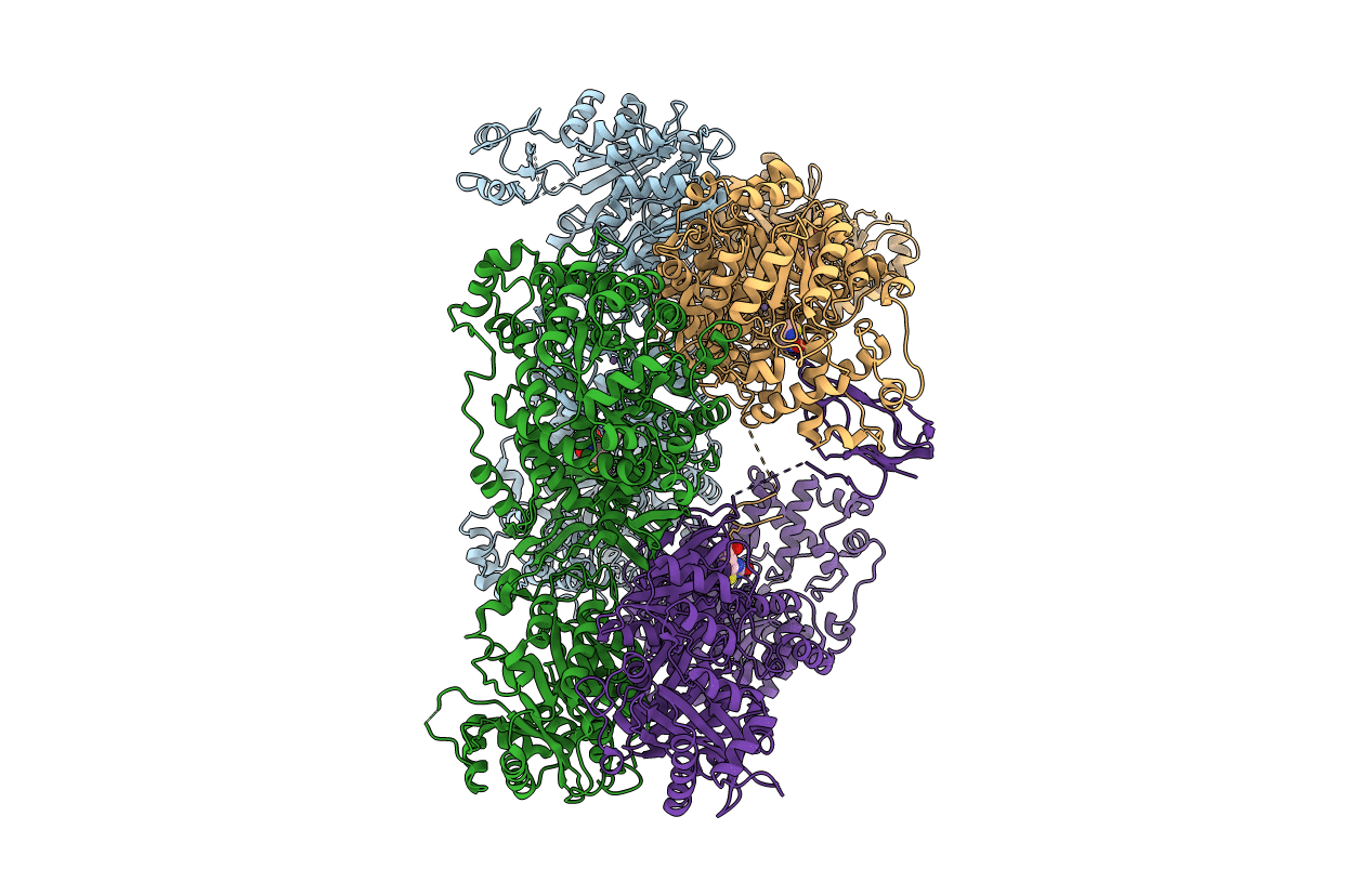 3HBL image