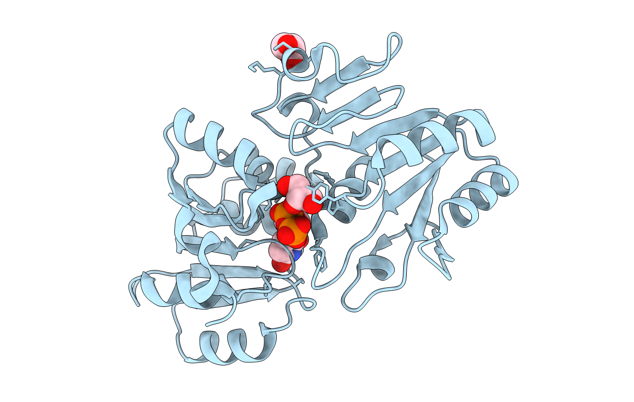 3HBN image