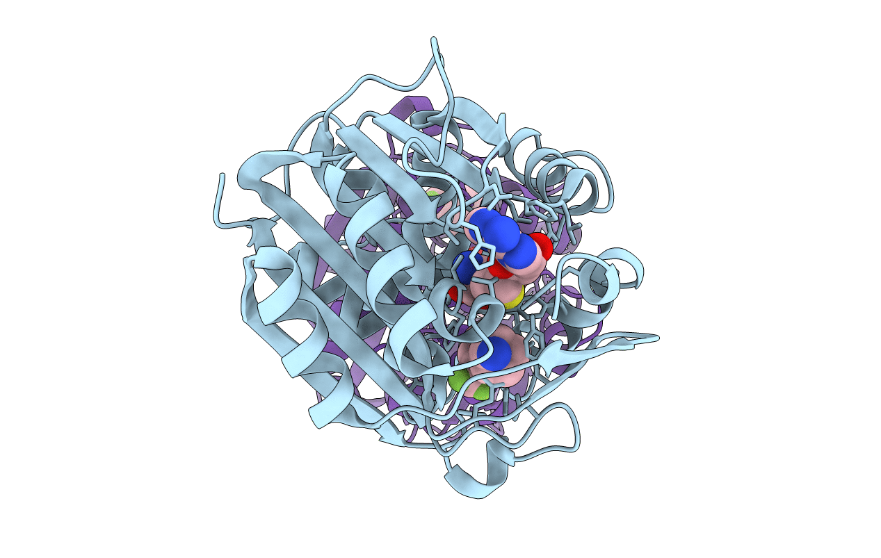 3HCC image