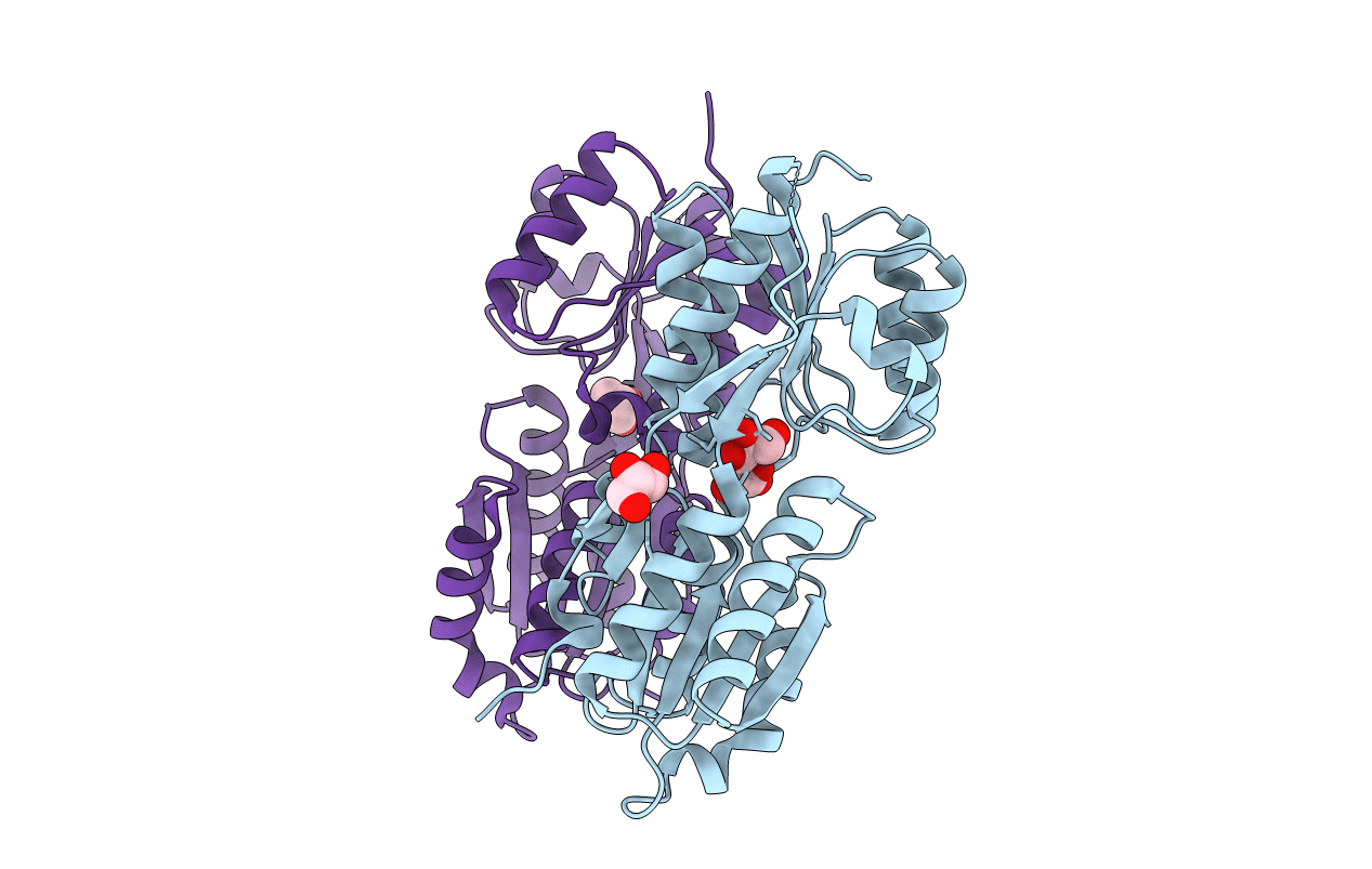 3HCW image