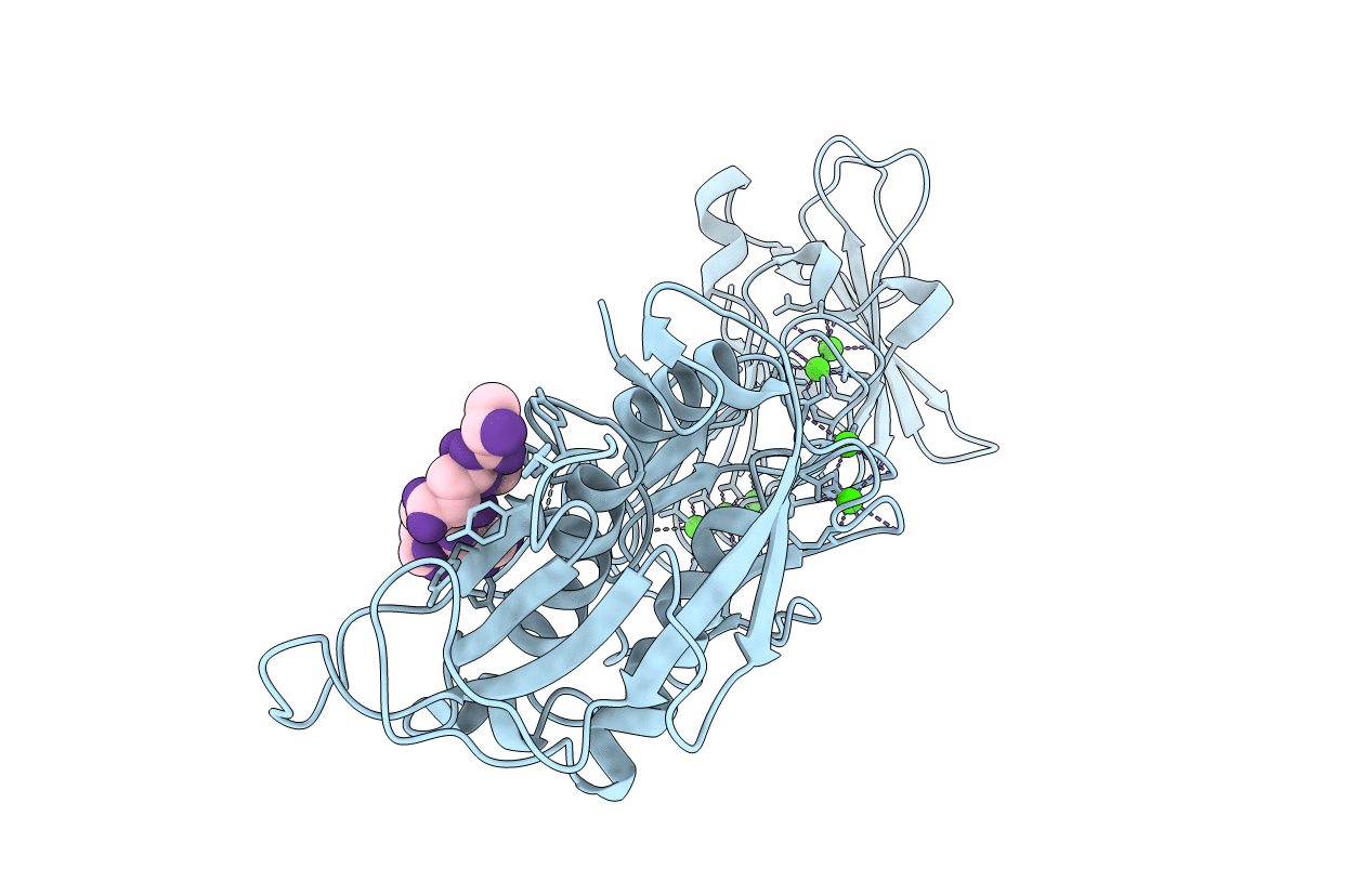 3HDA image