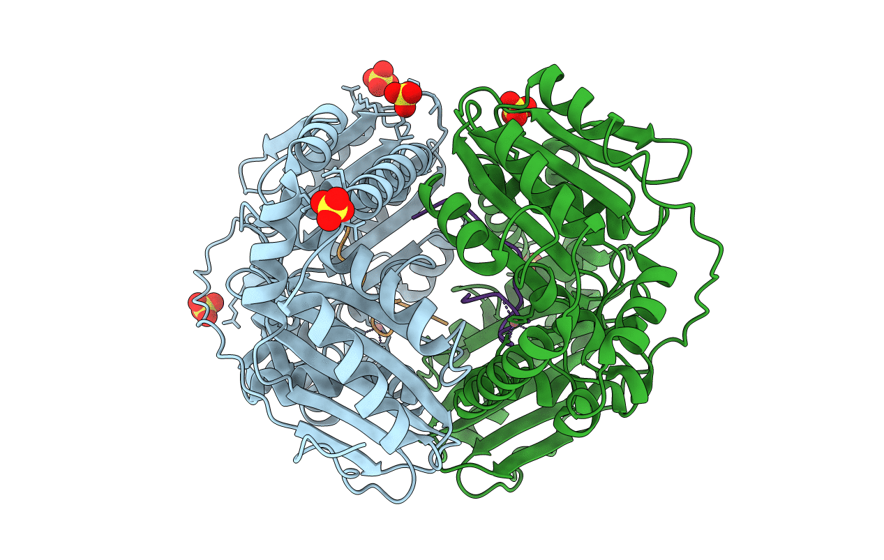 3HDI image