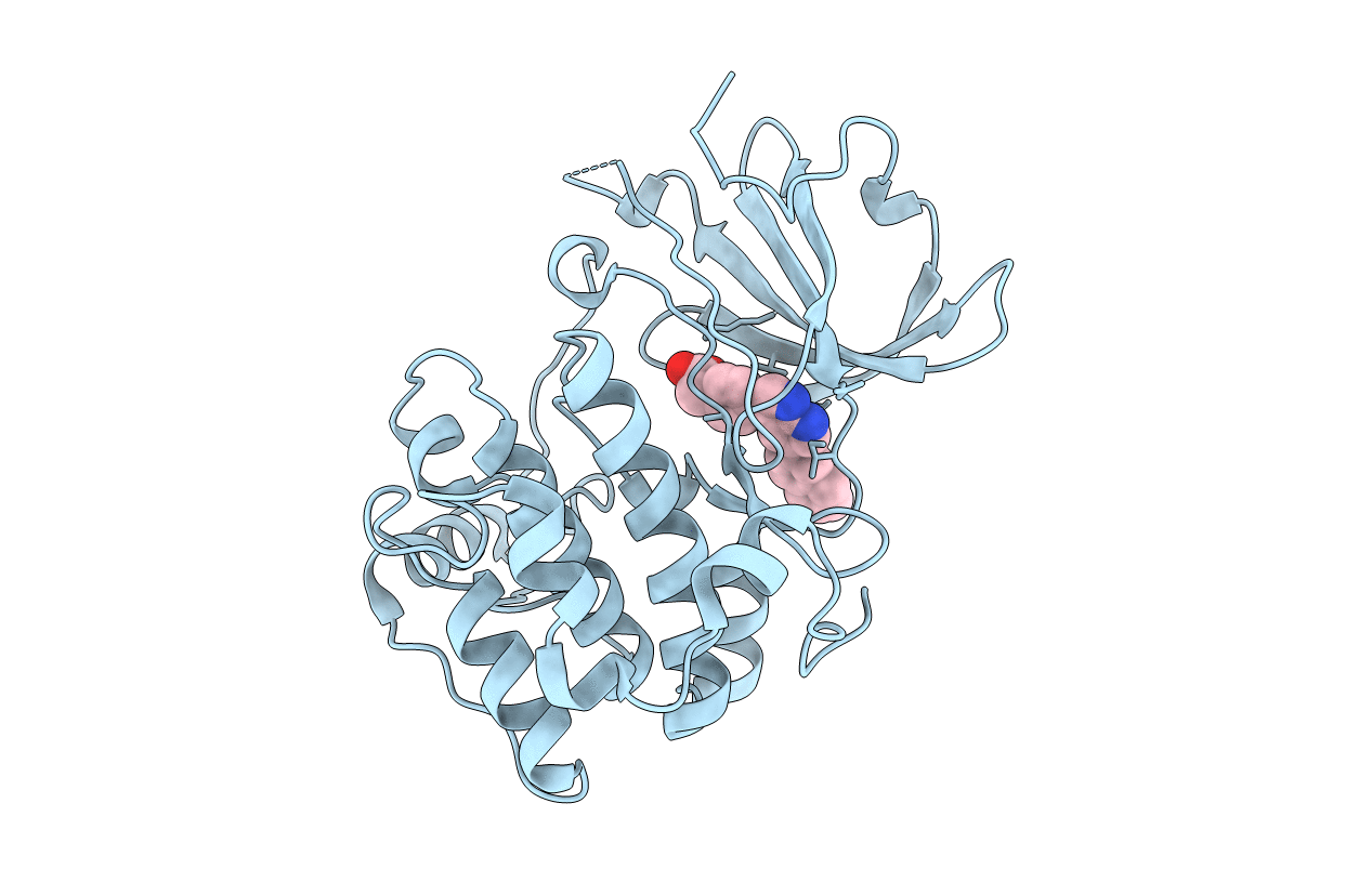 3HDN image