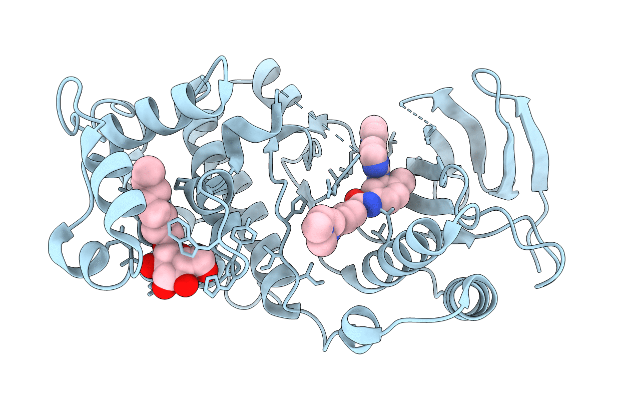 3HEC image