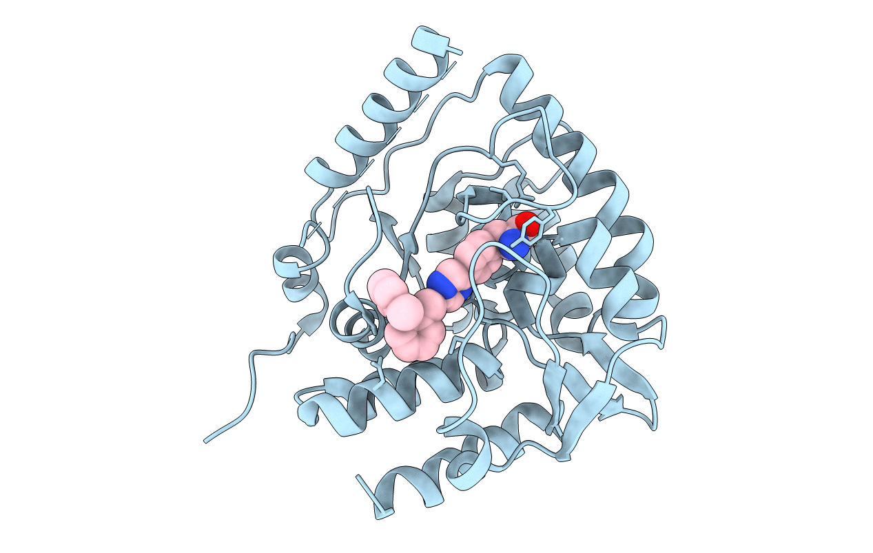 3HFB image