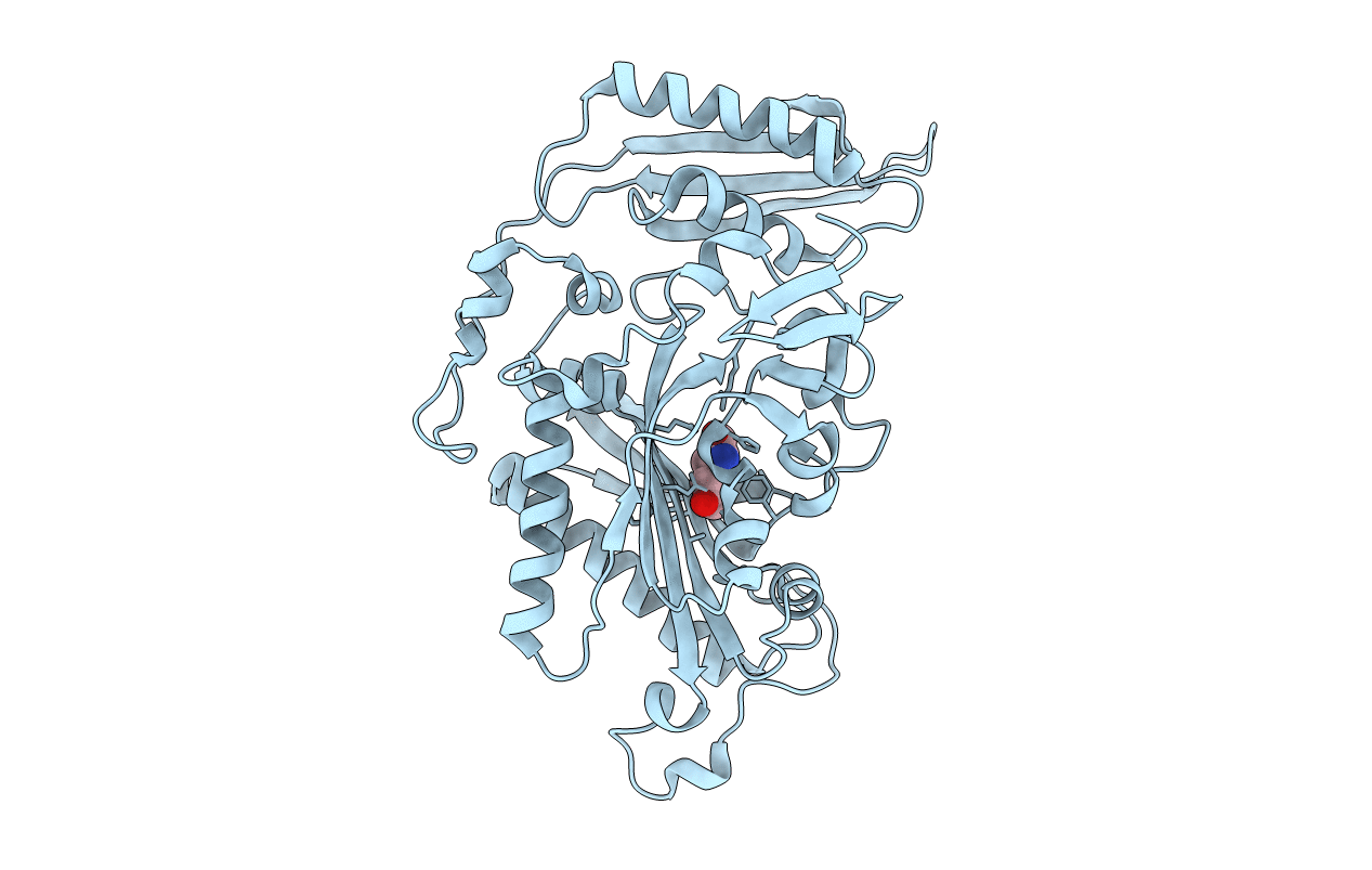 3HFV image