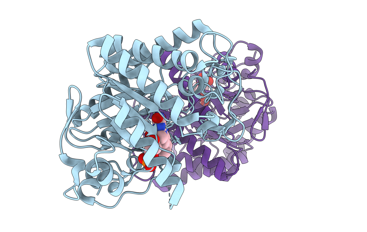 3HGO image
