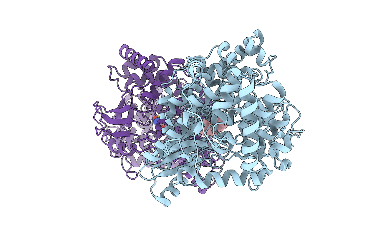 3HHK image