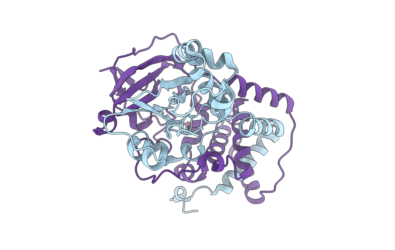 3HHT image