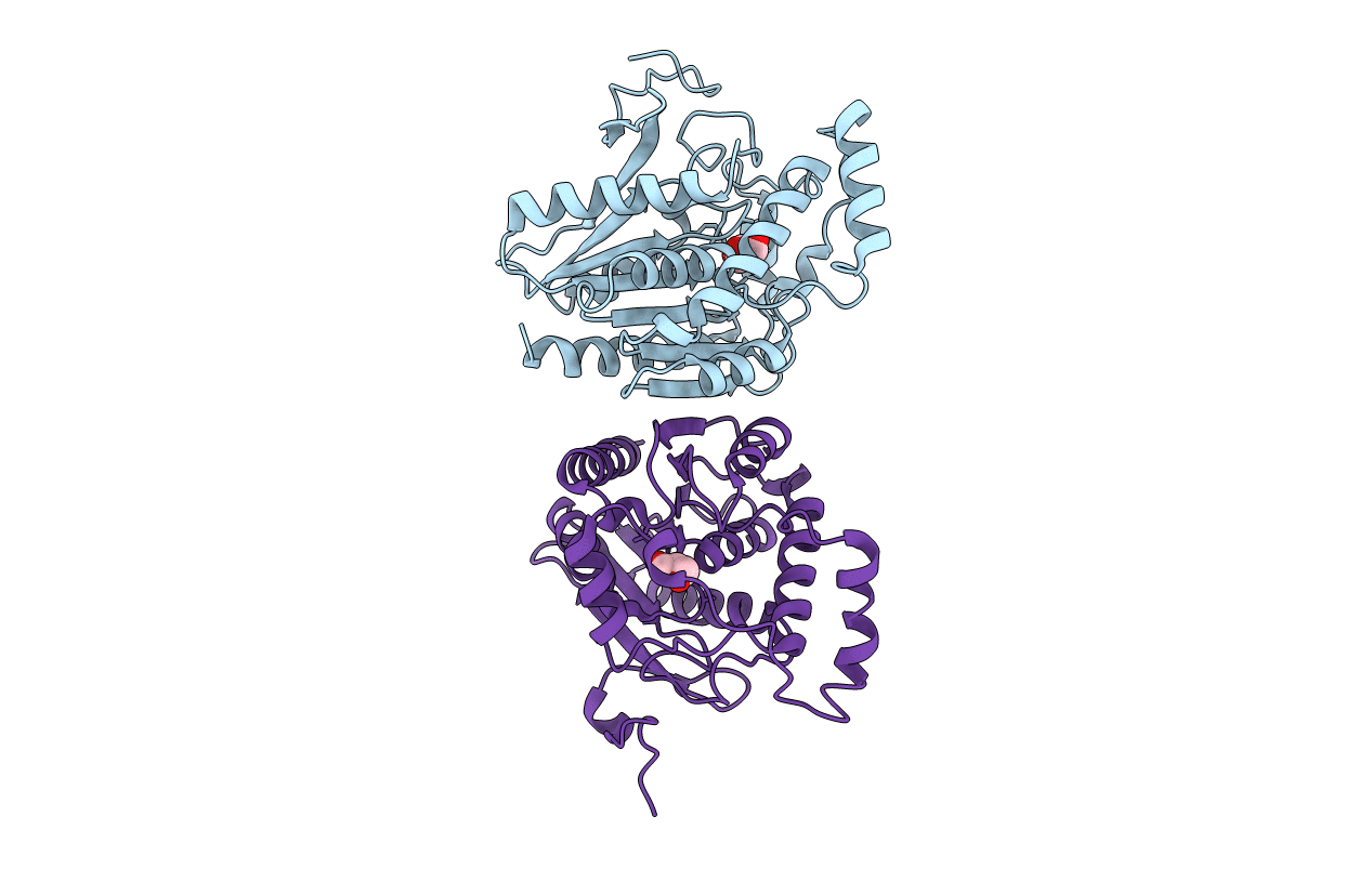 3HJU image
