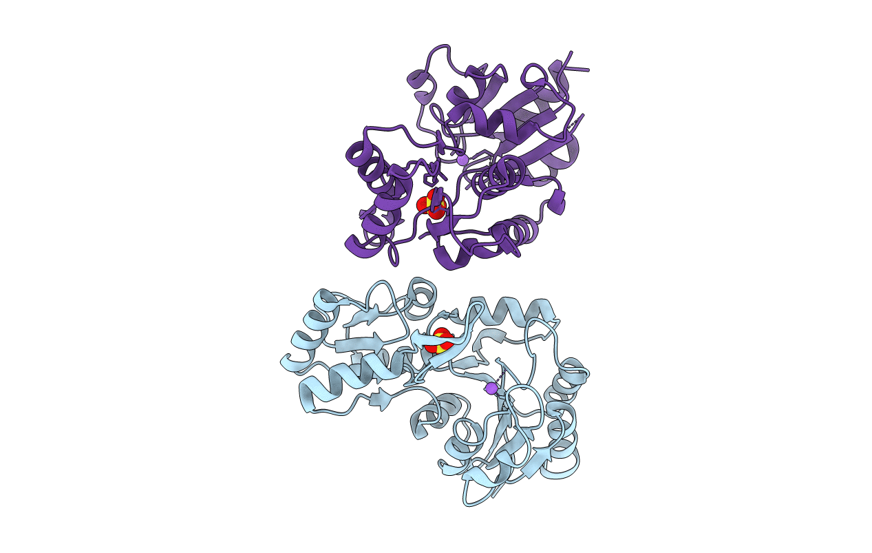 3HLT image