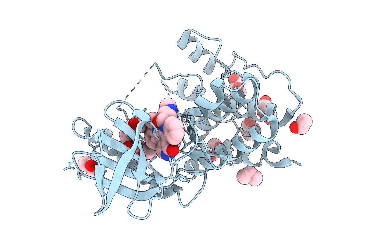 3HMO image