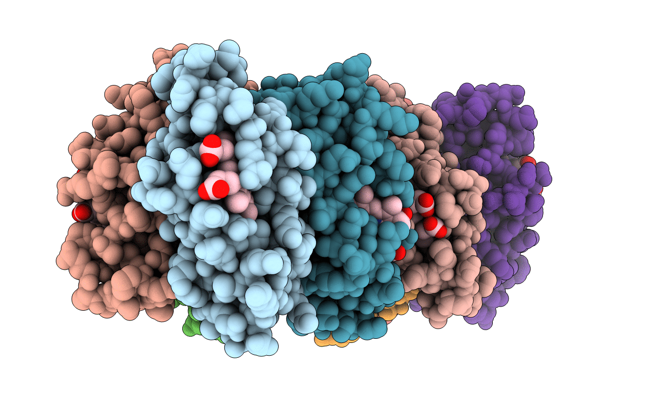 3HNI image