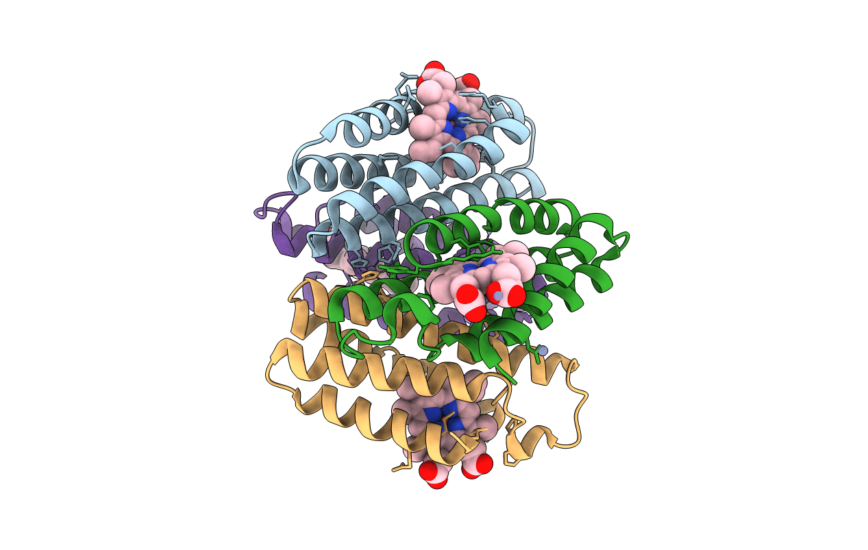 3HNJ image