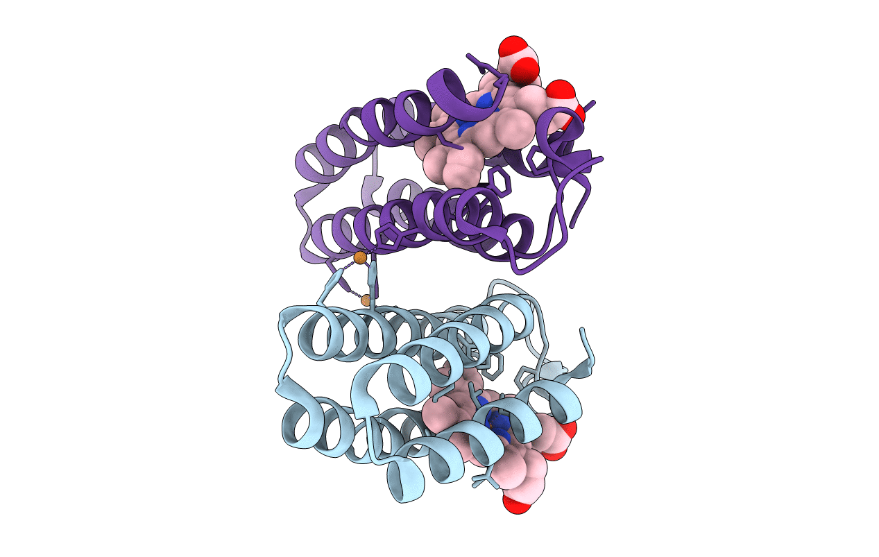 3HNL image