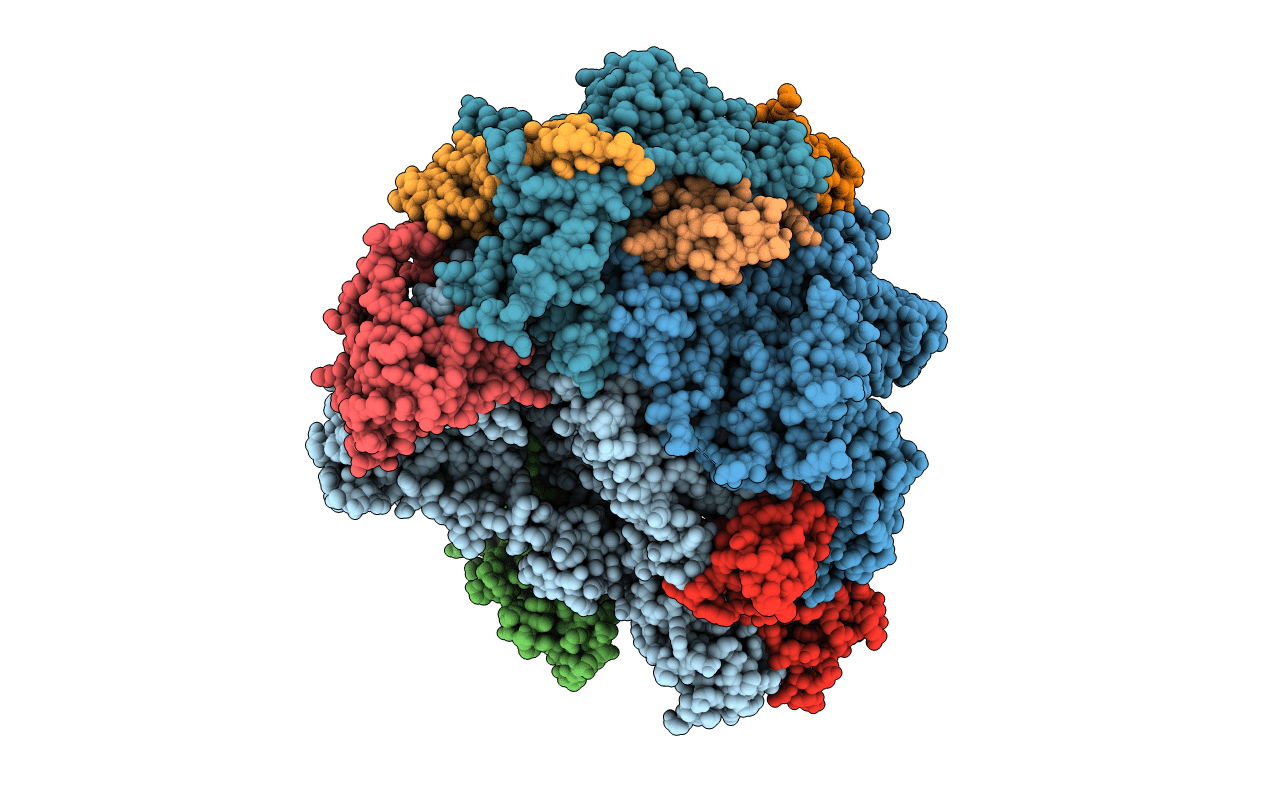 3HOX image