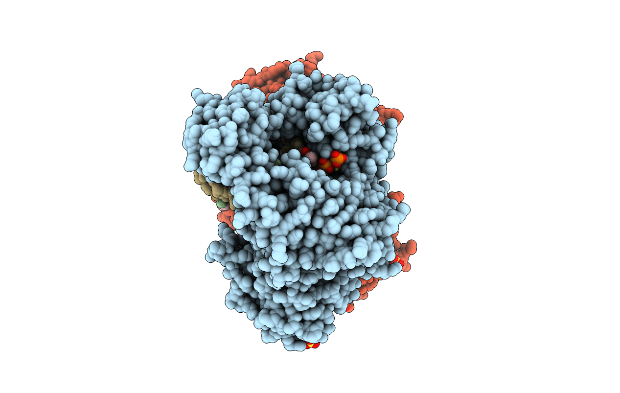 3HP6 image
