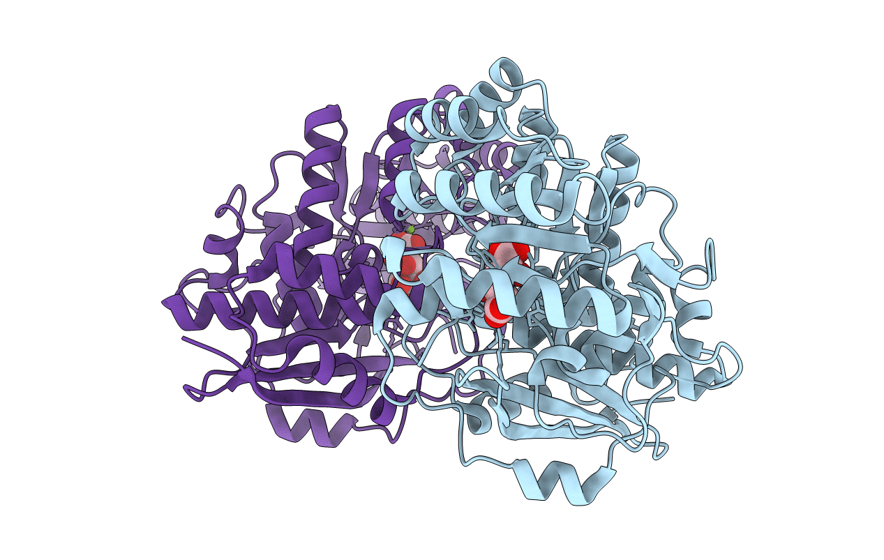3HPF image