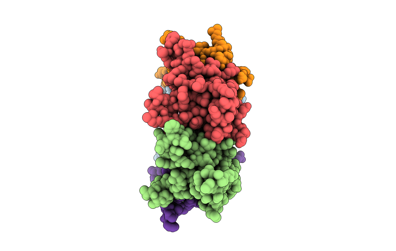 3HSA image