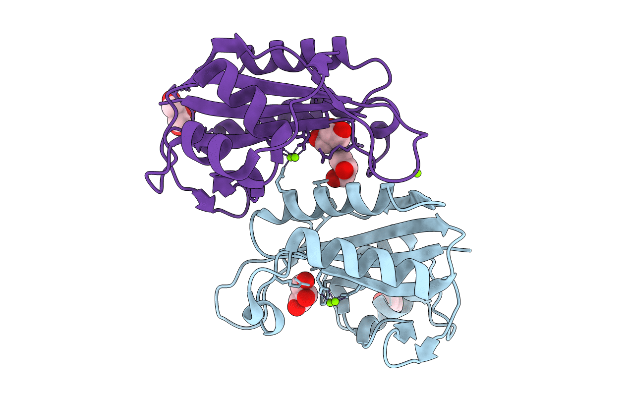 3HSD image