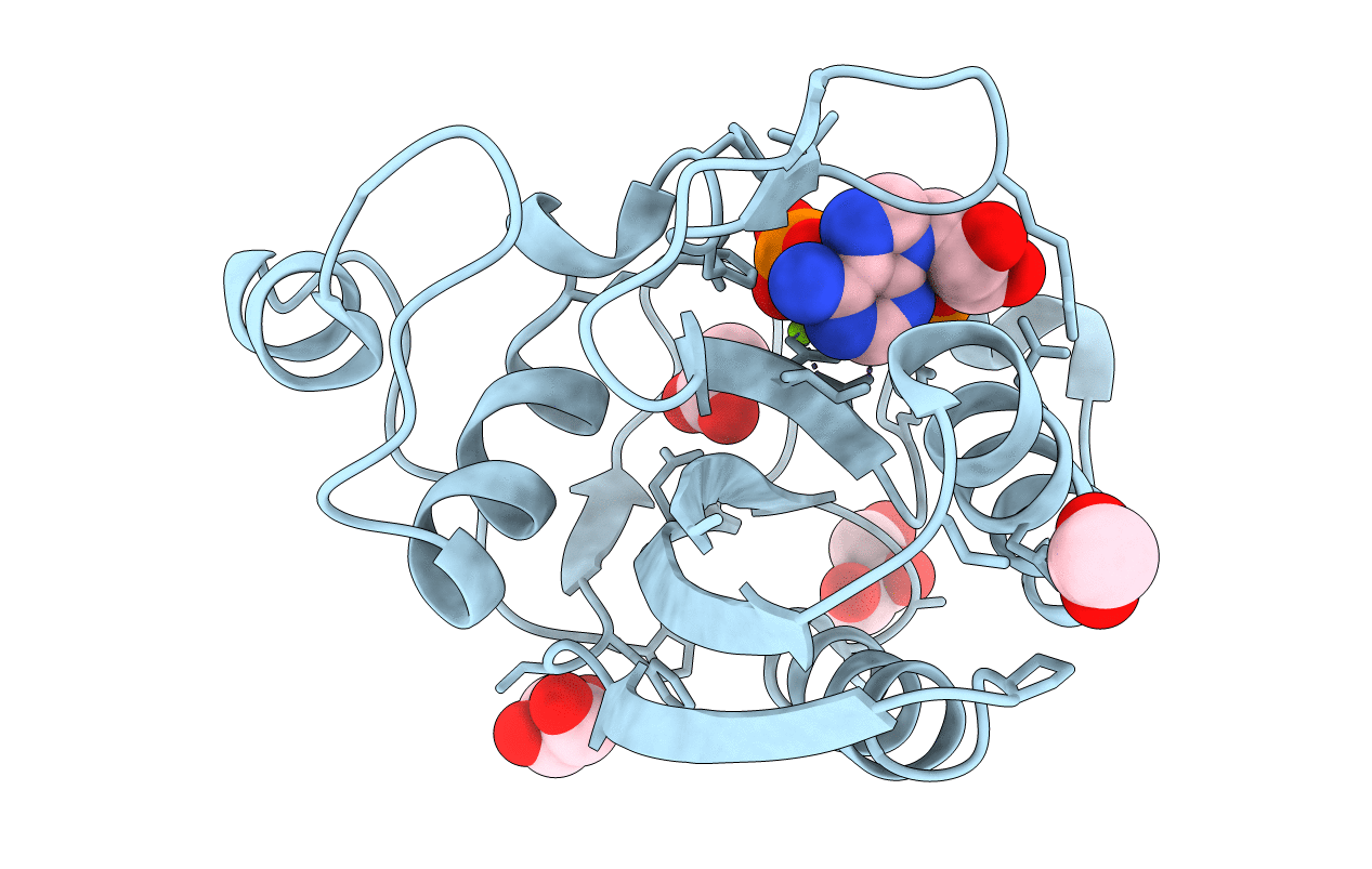 3HSG image