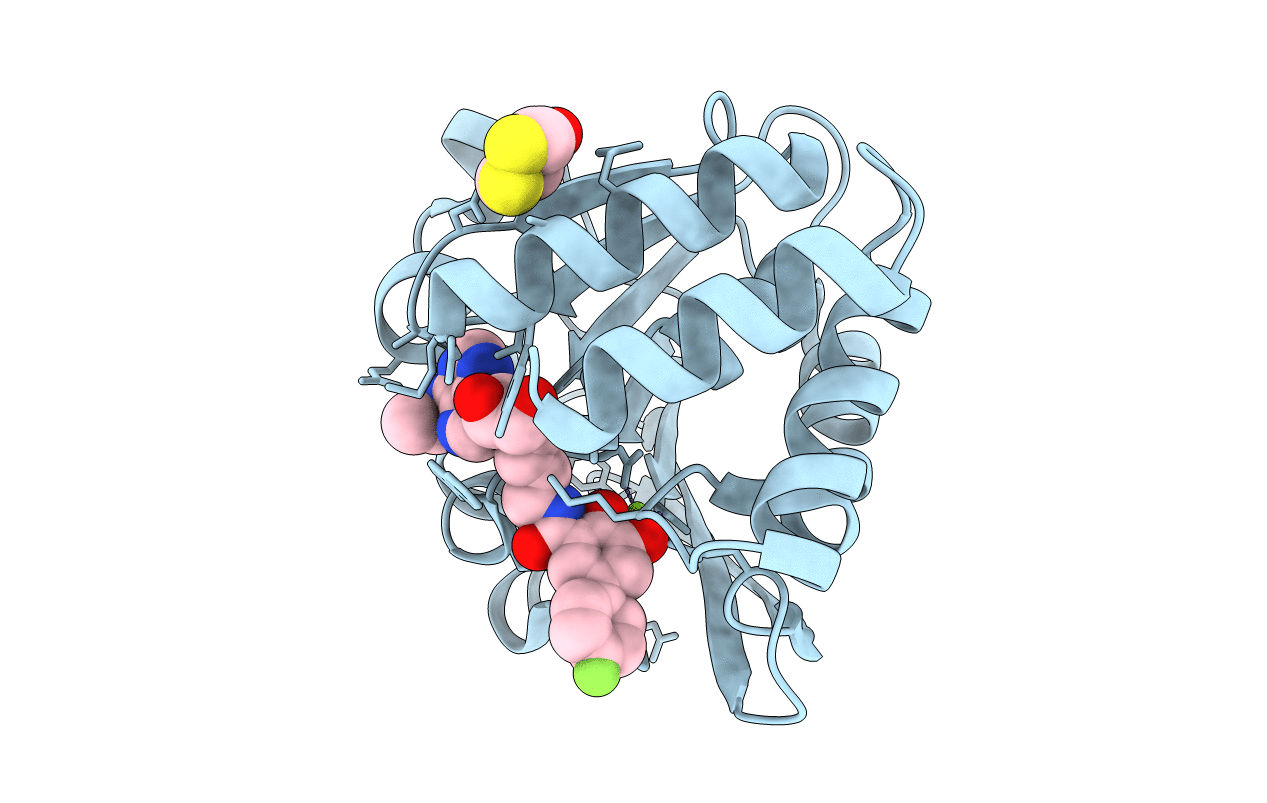 3HVI image