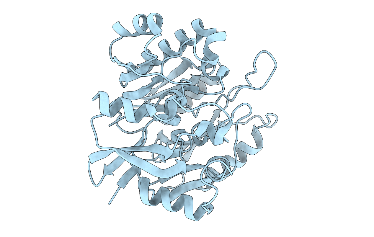 3HVM image