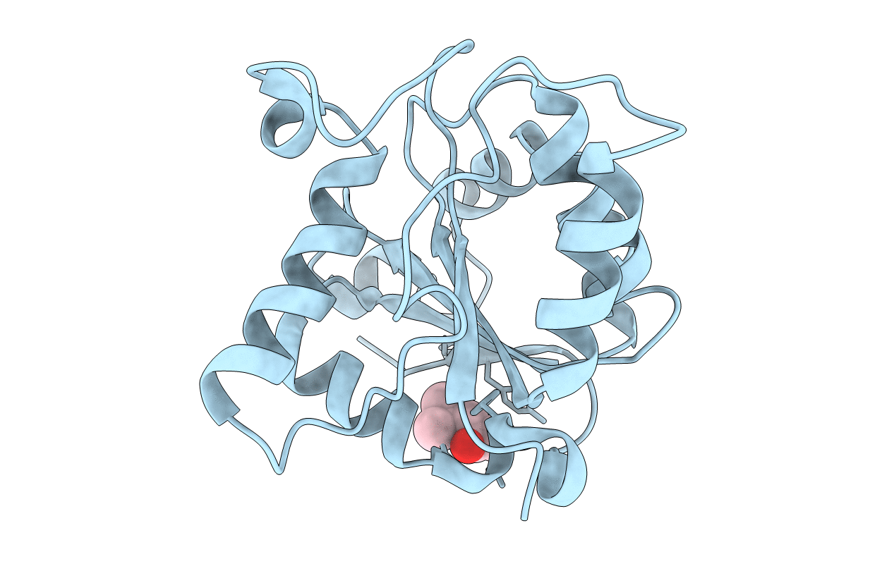 3HYN image