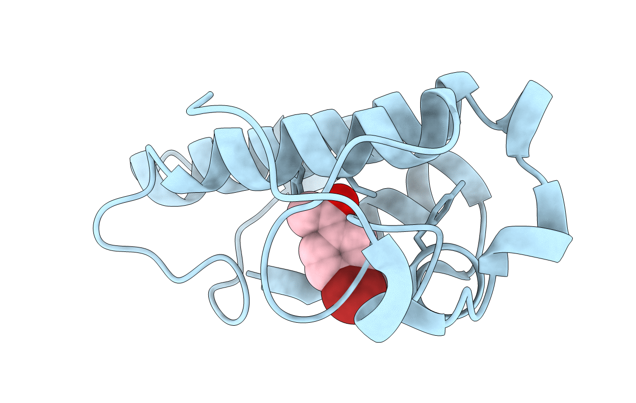 3I03 image