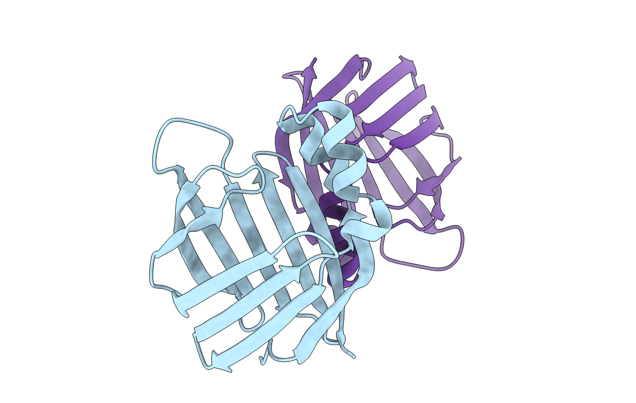 3I17 image