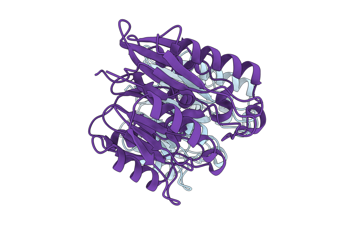 3I2E image