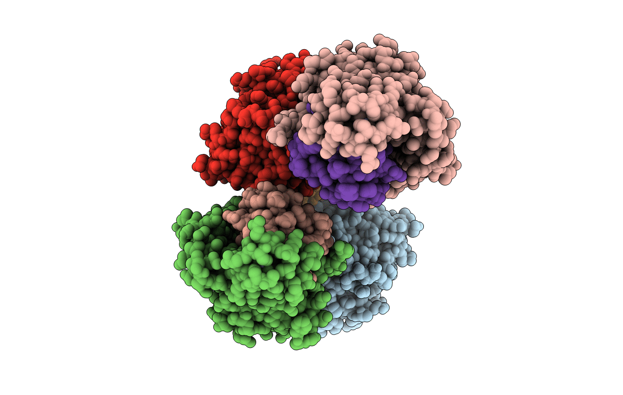 3I3T image