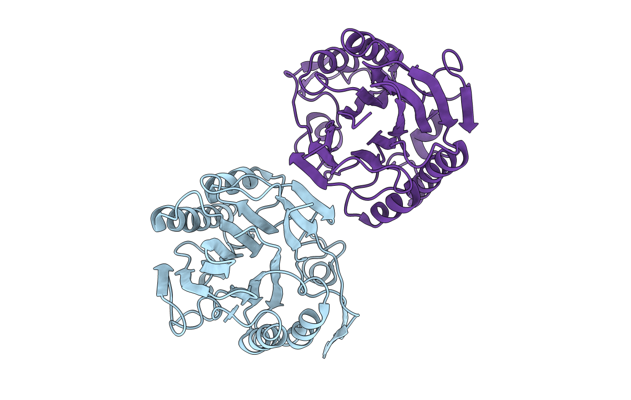 3I41 image