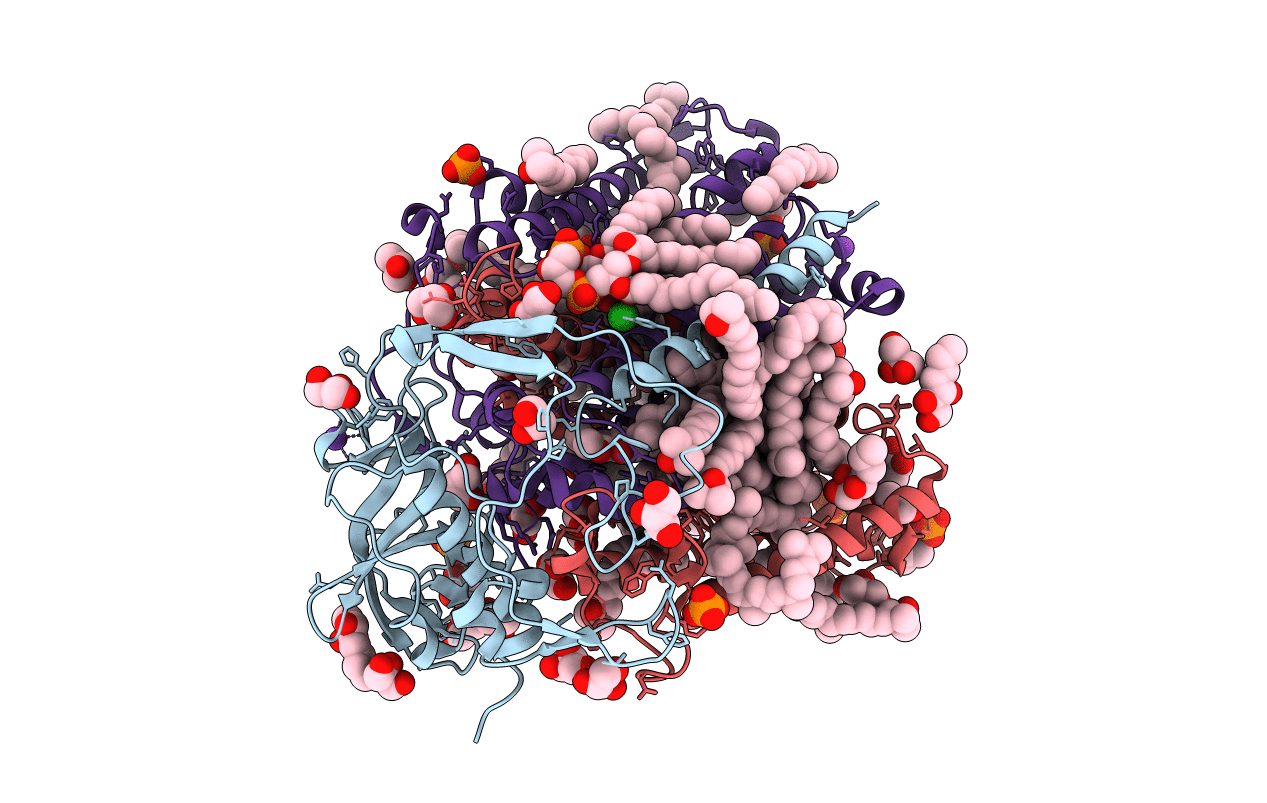 3I4D image